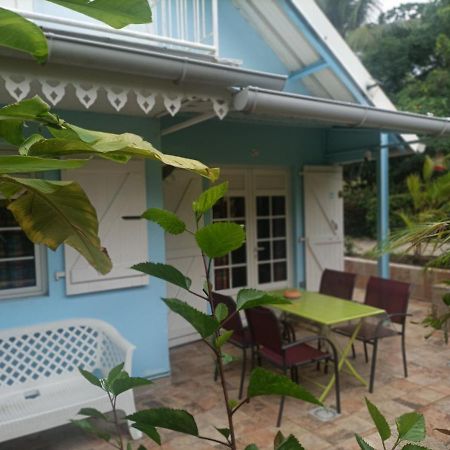 Le Colibri Ble Villa แซ็งแตนน์ ภายนอก รูปภาพ