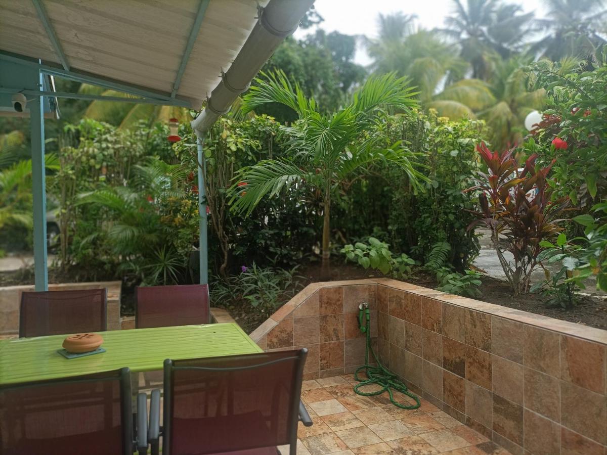 Le Colibri Ble Villa แซ็งแตนน์ ภายนอก รูปภาพ