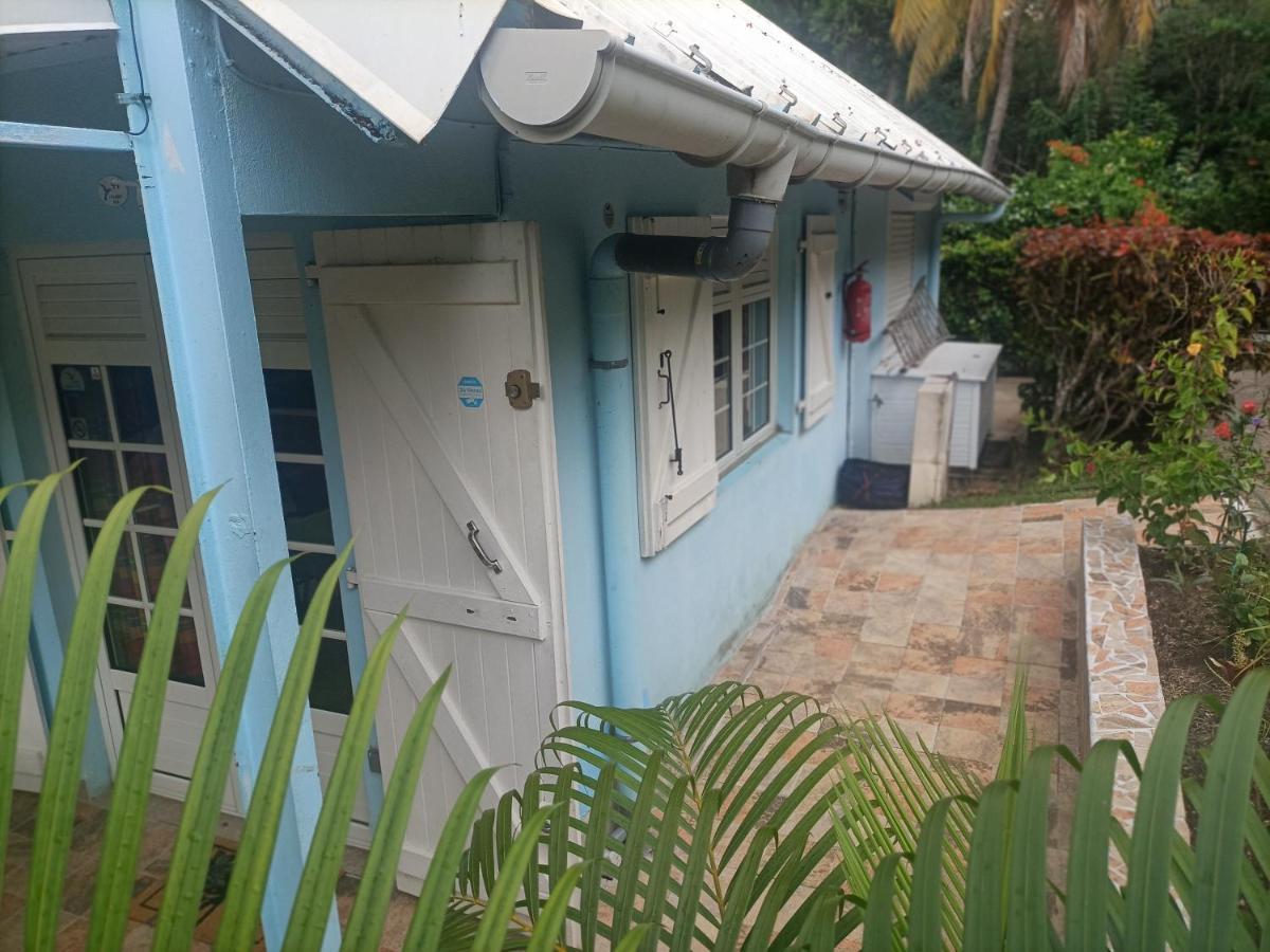 Le Colibri Ble Villa แซ็งแตนน์ ภายนอก รูปภาพ